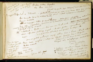 Folio 41 of the Workbook No. 19 Manuscript Page of Gustave Flaubert
