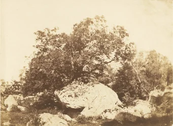 Boulder at Cabat, Epine Crossroads Forest of Fontainebleau