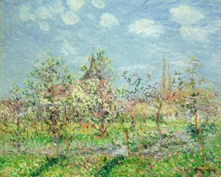 Orchard in Bloom