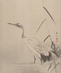 Crane Among Reeds