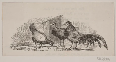 Three Chickens