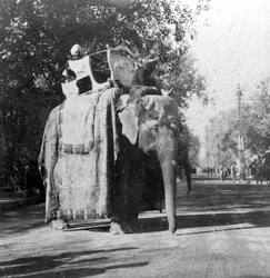 An Elephant Outside the Railway Station at Delhi, India, 1900s