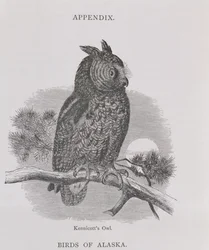 Kennicott