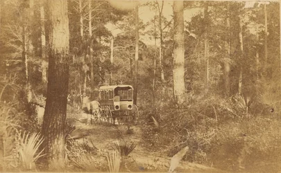 Scene on Folly Island