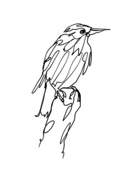 Abstract Bird Line Art