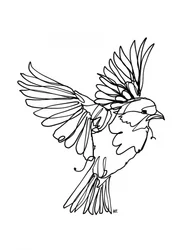 Flying Bird Line Art