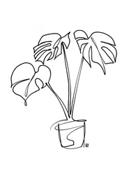 Monstera Line Art