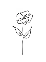 Single Line Rose