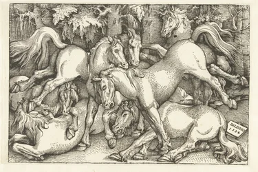 Group of Seven Fighting Horses