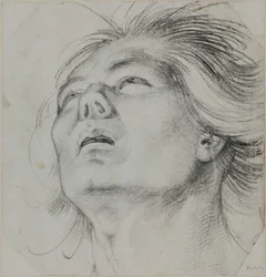 Head of a Young Man, Seen From Below