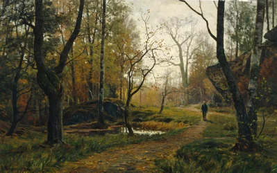 Morning Atmosphere