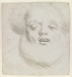 Head of a Bearded Man en Face Seen from Below