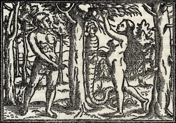 The Fall of Adam and Eve, from 