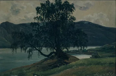 The Birch