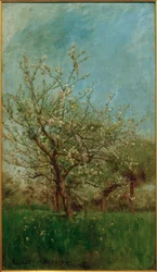 Blossoming Trees Uerdenbach