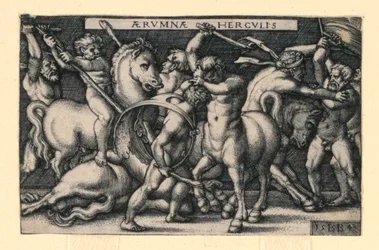 Hercules Fighting the Centaurs