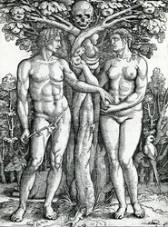 The Fall of Adam and Eve, c.1525-27