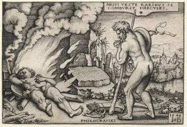 The Labors of Hercules: Hercules on his Pyre
