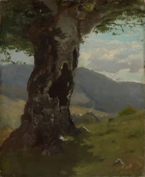 Old Tree Trunk with a View into the Valley