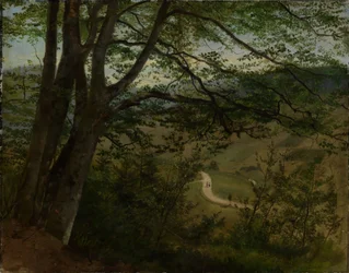 View through Trees and Shrubs onto a Valley