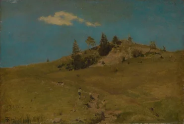 Black Forest Heights