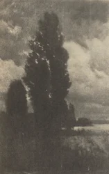 Camera Work: Poplars and Clouds