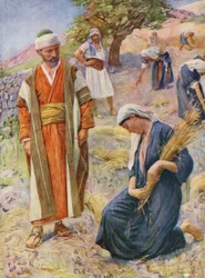 Old Testament: Ruth Gleaned in the Field