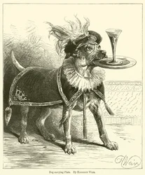 Dog Carrying Plate