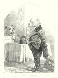 Funny Dogs: The Old-fashioned Dog