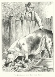 The Gentleman Who Pays the Rent