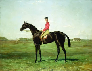 A Race Horse with a Jockey on the Racetrack at Newmarket