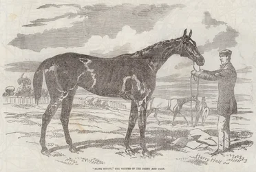 Blink Bonny, the Winner of the Derby and Oaks
