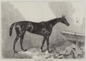 Queen Bertha, Winner of the Oaks