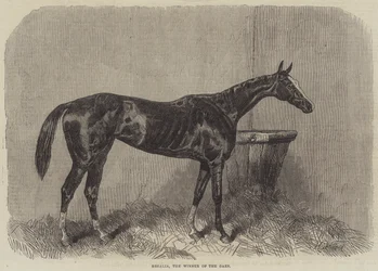 Regalia, the Winner of the Oaks