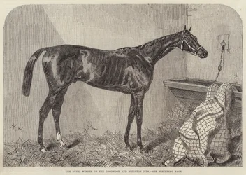 The Duke, Winner of the Goodwood and Brighton Cups