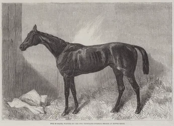 The Marquis, Winner of the Two Thousand Guineas Stakes at Newmarket