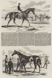 The Two Thousand Stakes at Newmarket