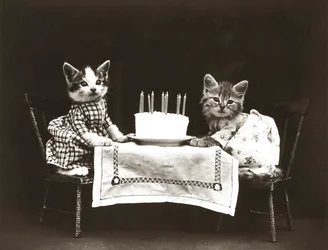Kitties Series: Birthday Party, c.1914