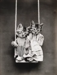 Kitties Series: On a Swing, c.1914