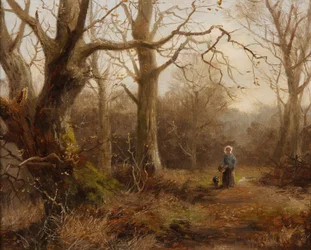 Woodland Scene
