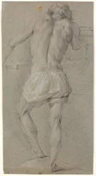 Standing male model, seen from the back