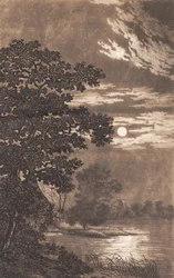 Moonlight over a Lake