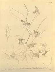 Biodiversity Heritage Library Notice