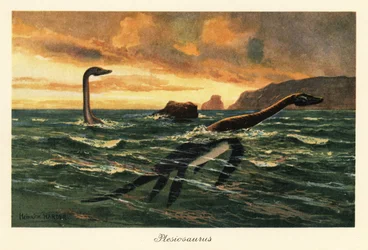Plesiosaurus Dolichodeirus in the Ocean