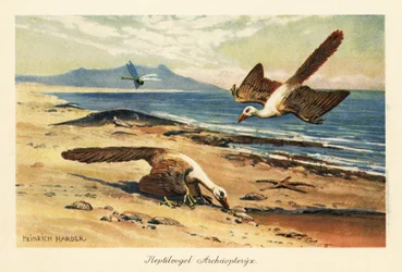 Two Archeopteryx foraging on the shore