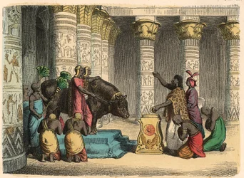 Ancient Egypt: Worship of Apis Bull