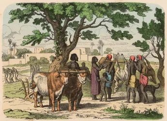 Ancient Egypt: farming and hunting