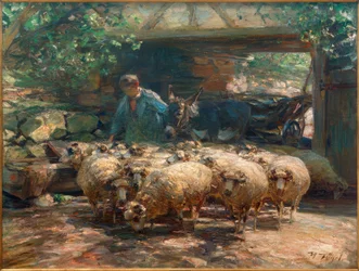 Driving Out the Sheep Herd