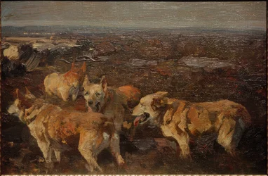 Dogs