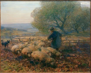 Sheep Leaving the Pen